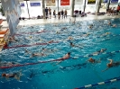 24h-Schwimmen Dezember 2012_8